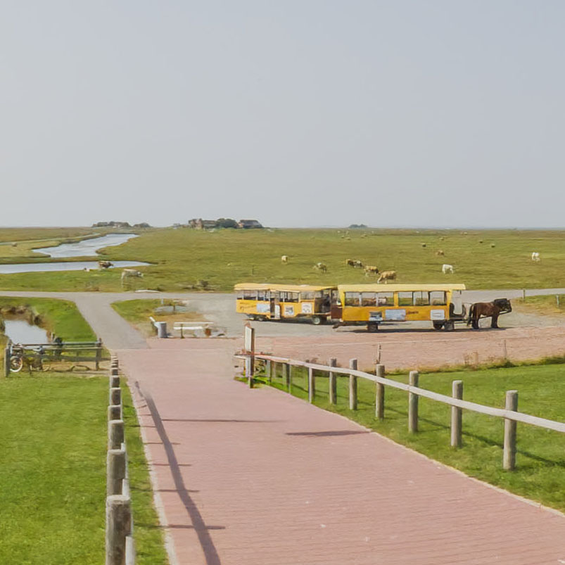 Kinder erleben die Hallig