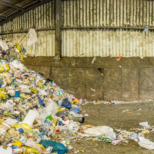 Kinder erleben einen Recyclinghof