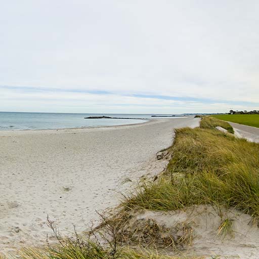 Kinder erleben den Strand
